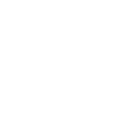Black Income Agency